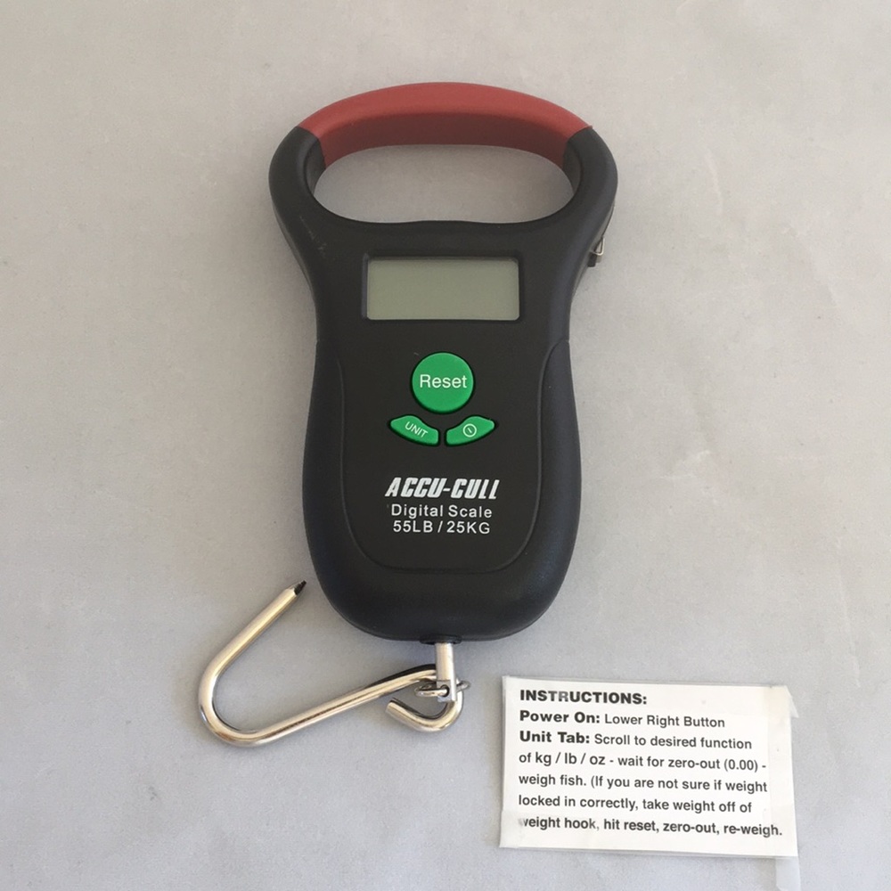 Digital scale